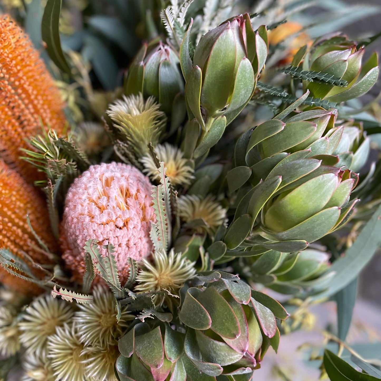 rustic flora
