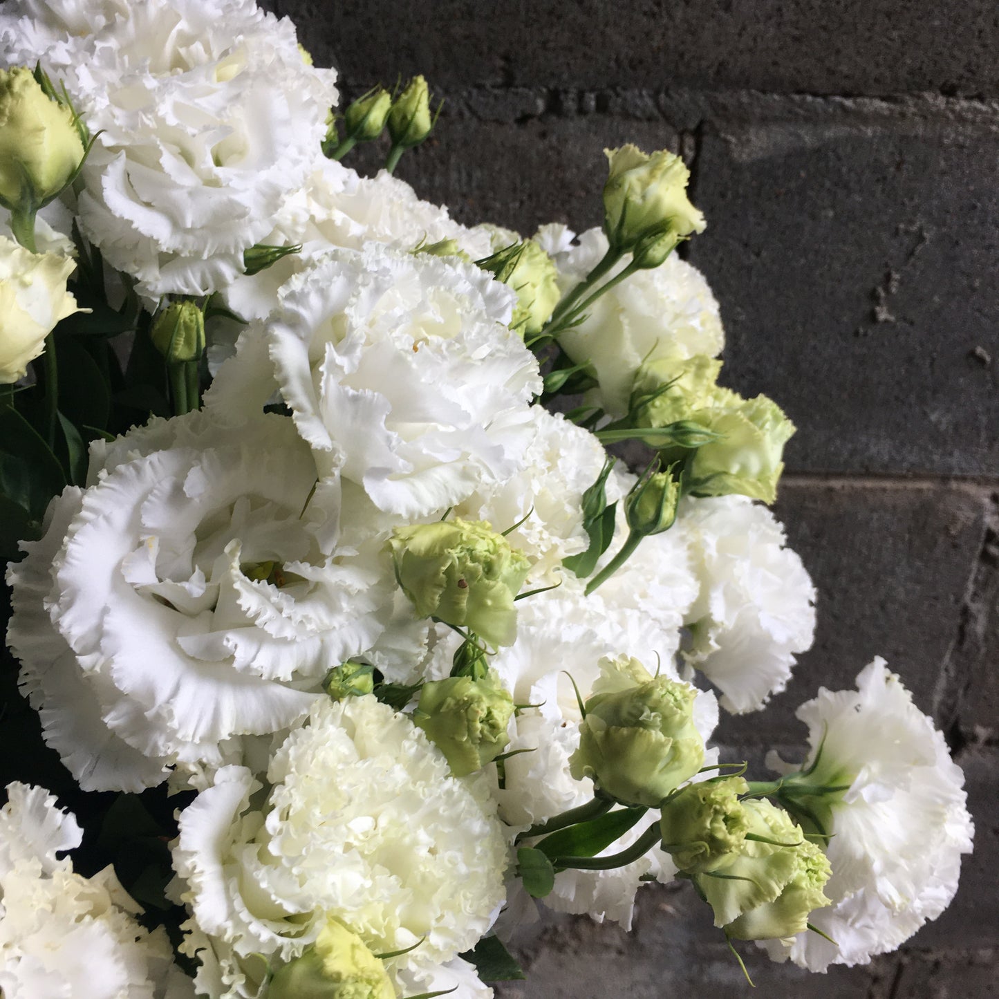 lisianthus